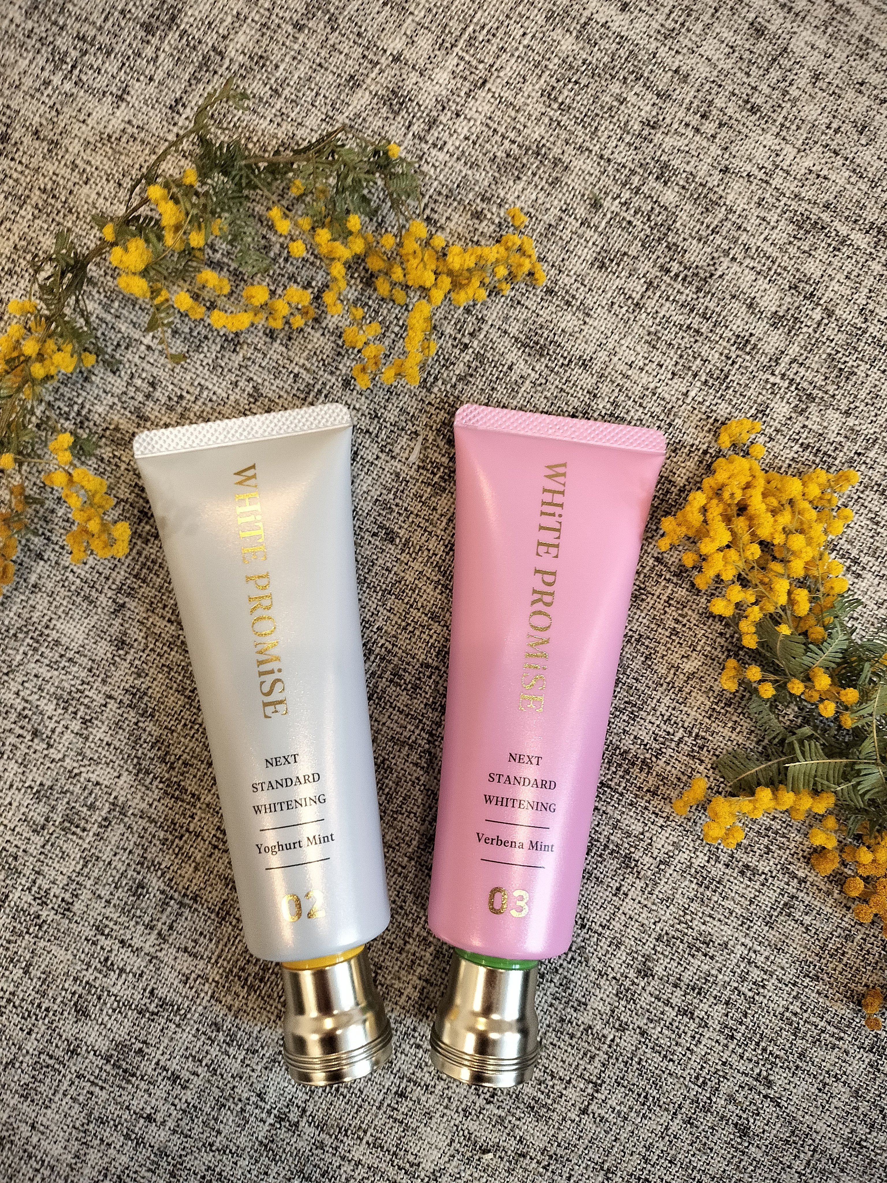 ホワイトプロミス  美白*＋むし歯予防*/WHiTE PROMiSE/歯磨き粉を使ったクチコミ（1枚目）