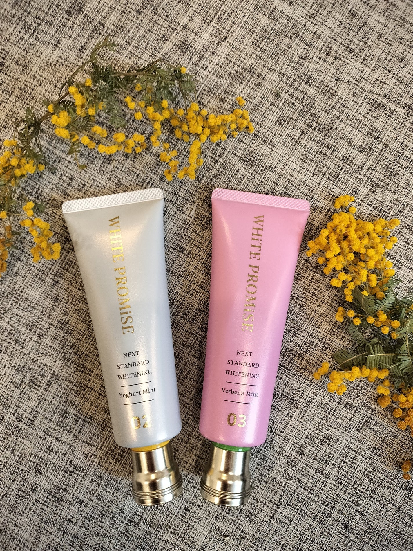 ホワイトプロミス 美白*+むし歯予防*/WHiTE PROMiSE/歯磨き粉を使ったクチコミ(1枚目)