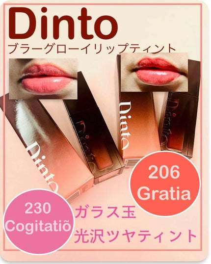 ブラーグロイリップティント/Dinto/リップティントを使ったクチコミ(1枚目)