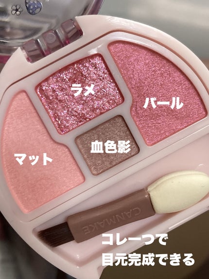 プランぷくコーデアイズ/キャンメイク/パウダーアイシャドウを使ったクチコミ(3枚目)