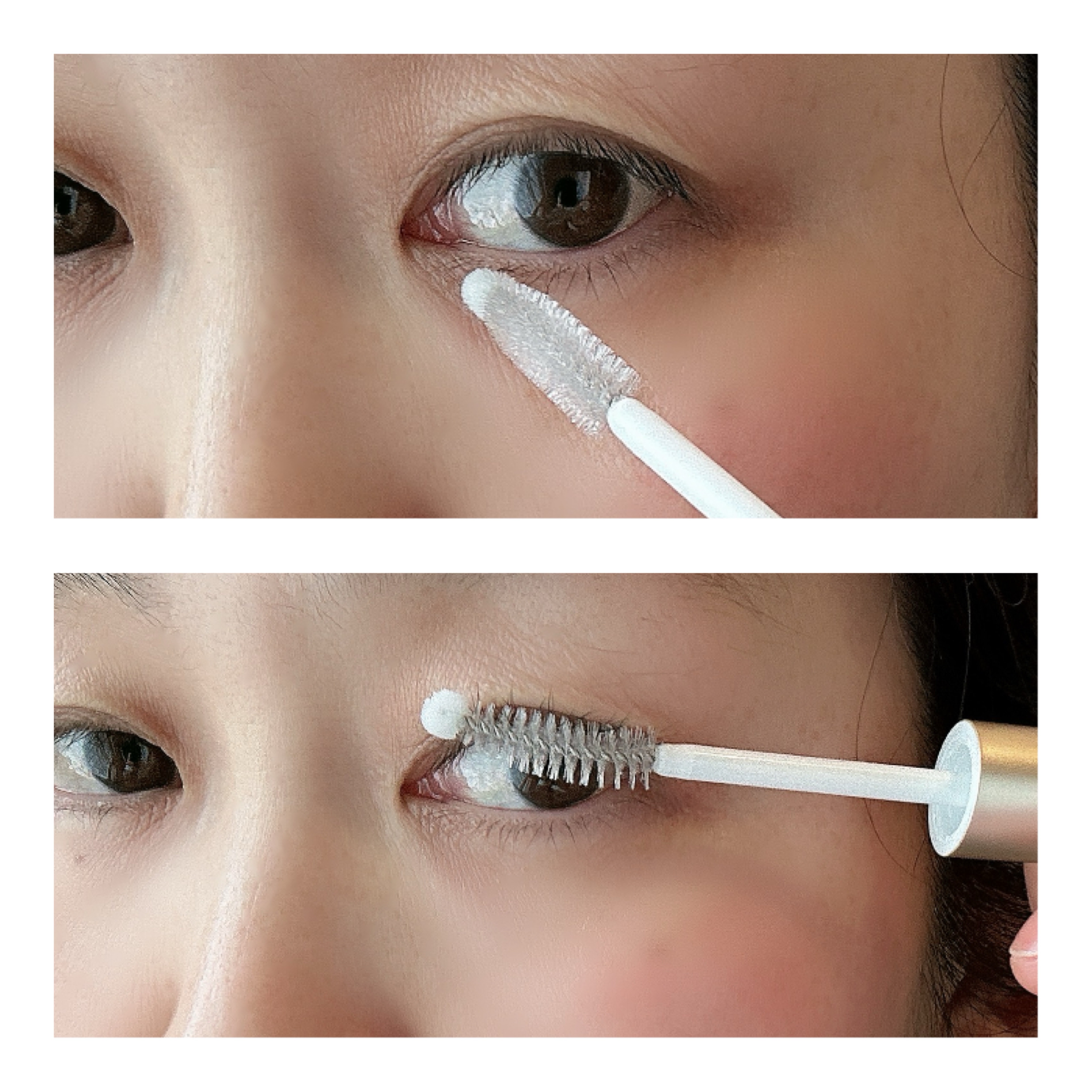 リアルミービオテノールラッシュアップアンプル/ベリサム/まつげ美容液を使ったクチコミ（3枚目）