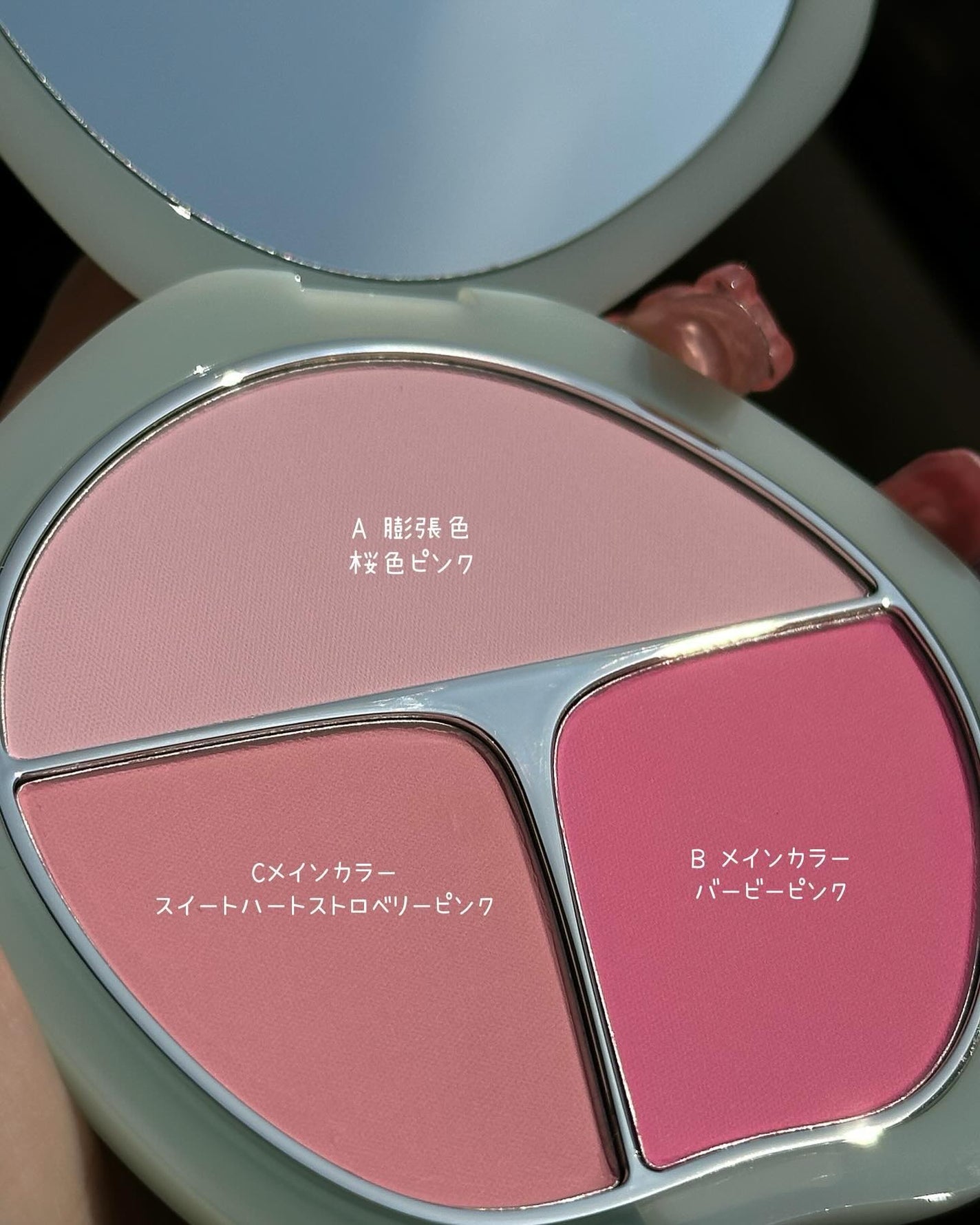 TIMAGE 3色チークパレット/TIMAGE/パウダーチークを使ったクチコミ(2枚目)