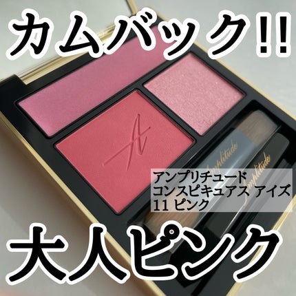 コンスピキュアス アイズ/Amplitude/アイシャドウパレットを使ったクチコミ(1枚目)