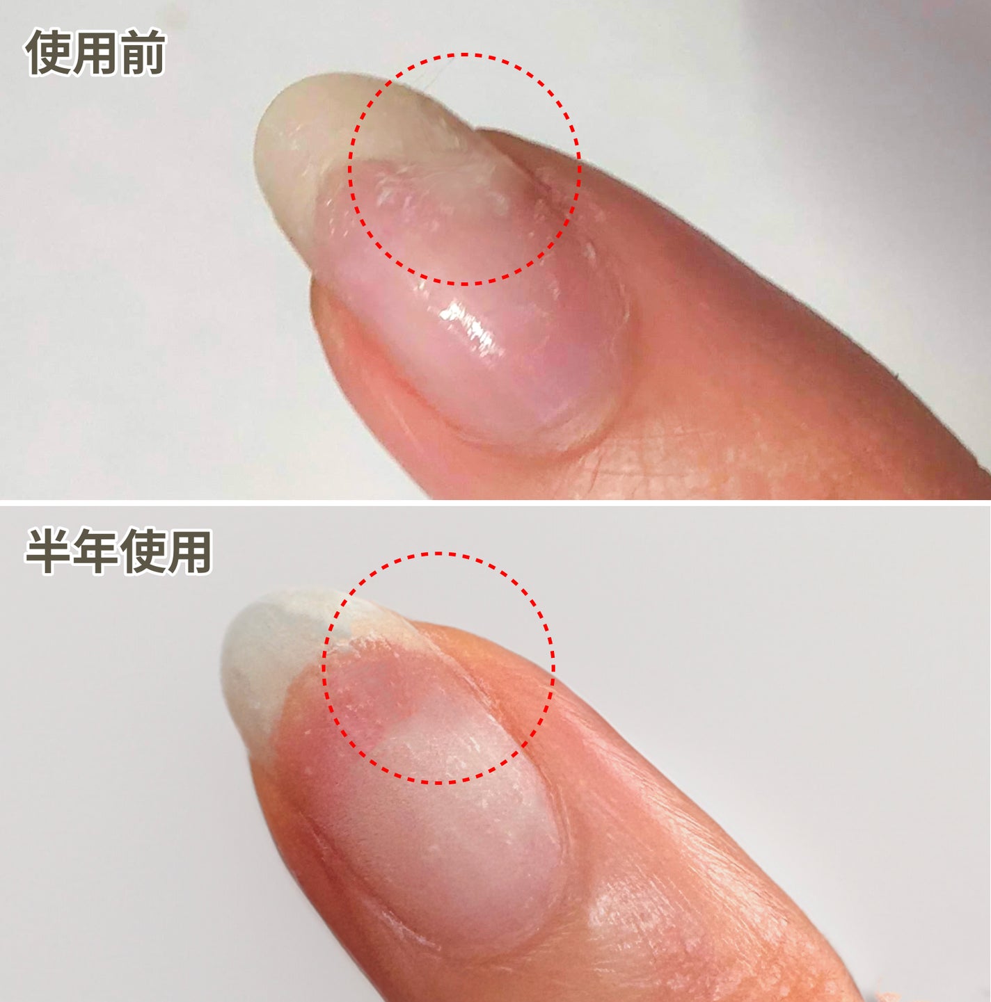 フェアウェル/SPARITUAL/ネイルオイル・トリートメントを使ったクチコミ(2枚目)