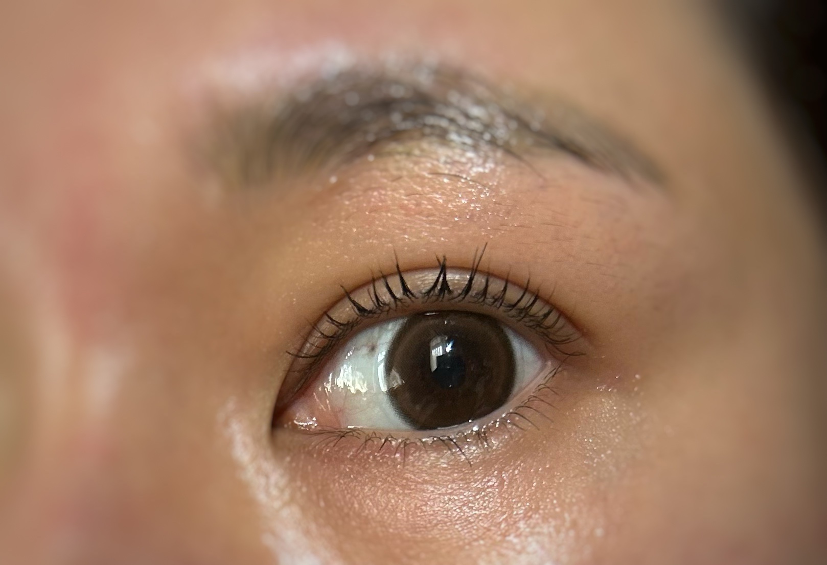 Quprie 1day/Quprié by R/ワンデー（１DAY）カラコンを使ったクチコミ（1枚目）