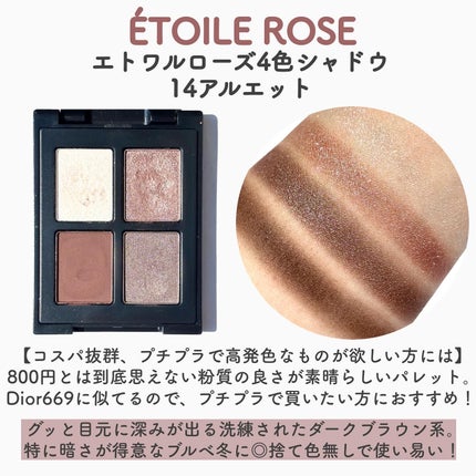 コントゥアリング アイシャドウ/DECORTÉ/アイシャドウパレットを使ったクチコミ(10枚目)