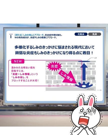 ホワイトCプレミアム(医薬品)/トランシーノ/その他を使ったクチコミ(5枚目)