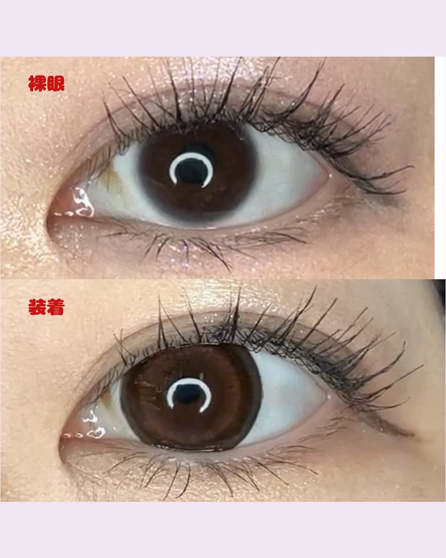 TETRITON/TETRITON/ワンデー(1DAY)カラコンを使ったクチコミ(4枚目)