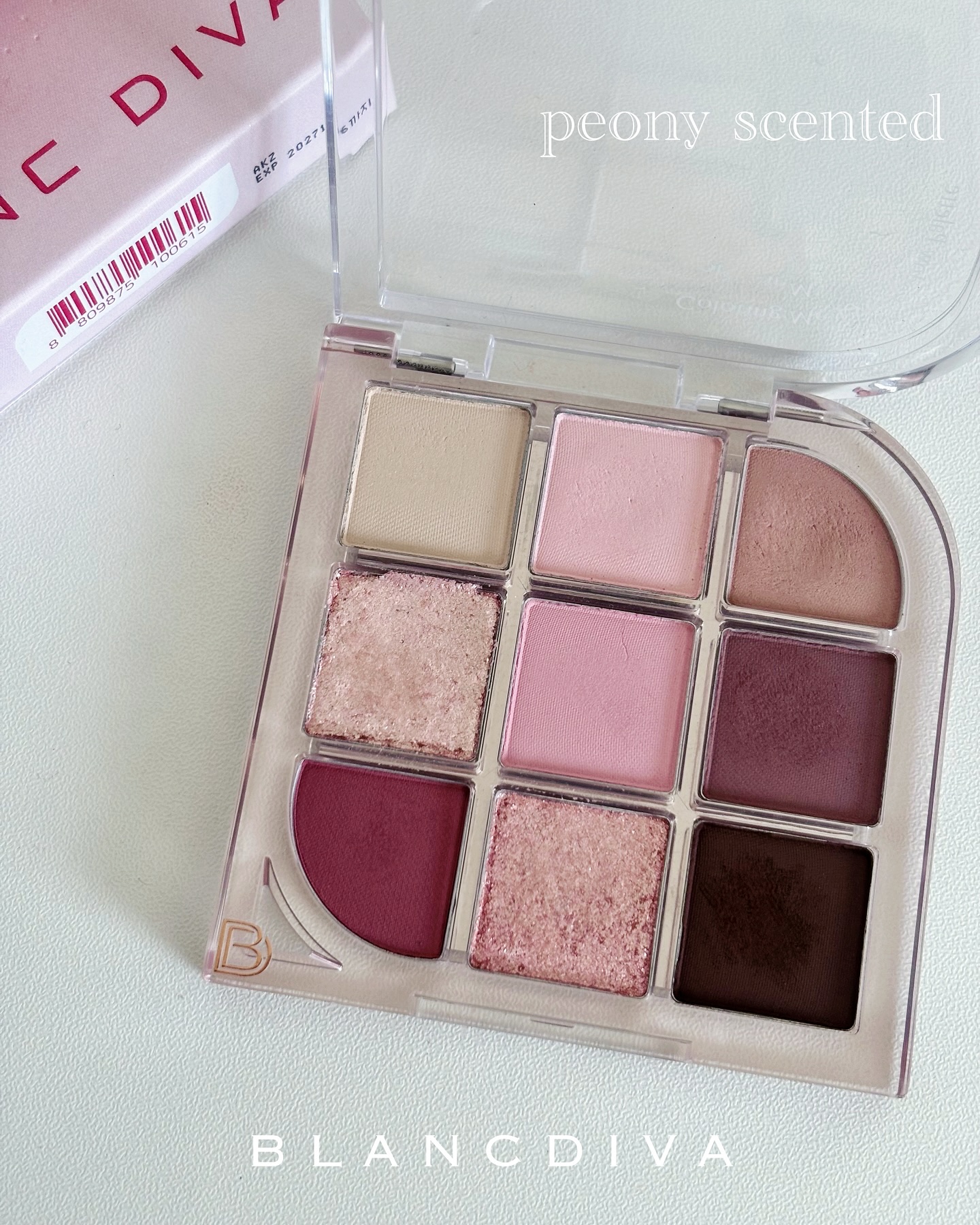 MULTI EYE SHADOW PALETTE/BLANC DIVA/アイシャドウパレットを使ったクチコミ（1枚目）