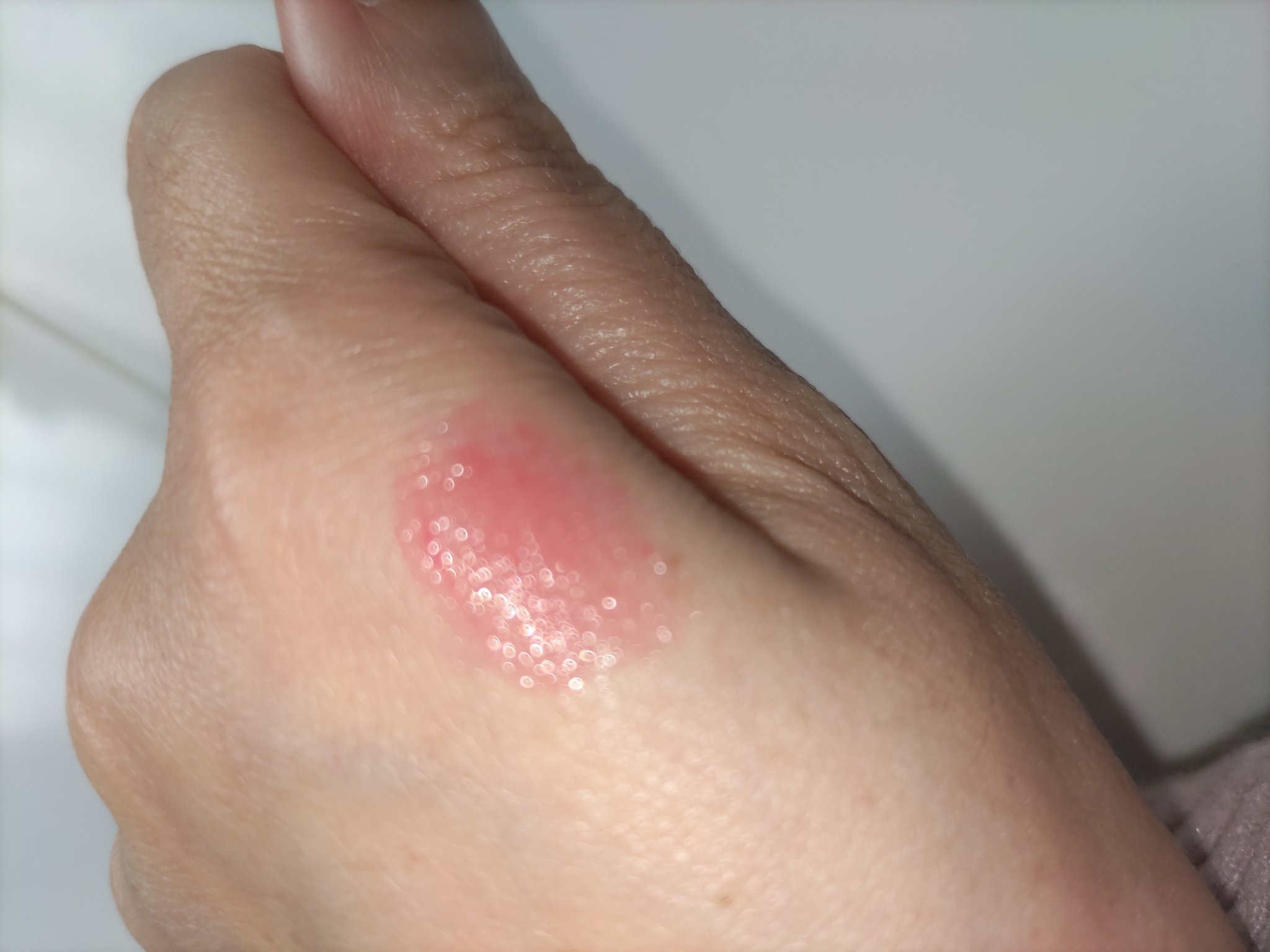 レディートゥーウェアウォーターリップスティック 03 ウェットカメリア/BBIA/口紅を使ったクチコミ（3枚目）