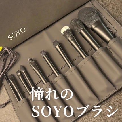 試してみた】SOYO SOYO ディスカバー フルセット (10本+ケース 試してみた】SOYO SOYO ディスカバー フルセット (10本+ケース