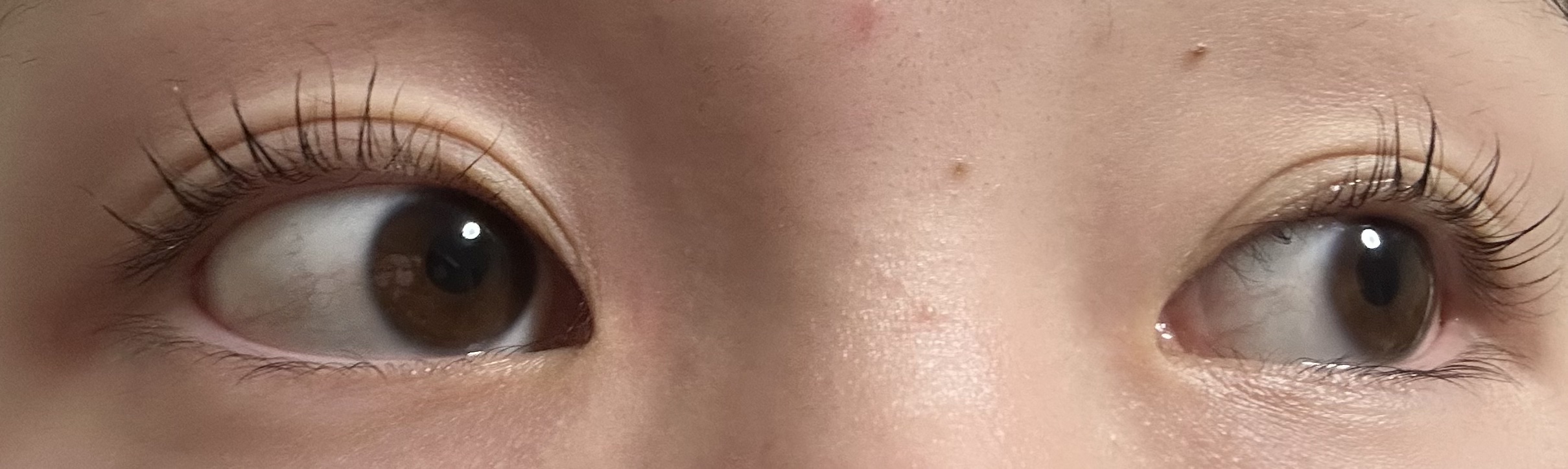 低刺激セルフまつげパーマ9種セット/EYE2IN/その他キットセットを使ったクチコミ（3枚目）