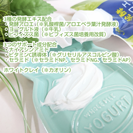 アロエメイド 発酵クリアパックAY 170g/アロエメイド/洗い流すパック・マスクを使ったクチコミ（2枚目）