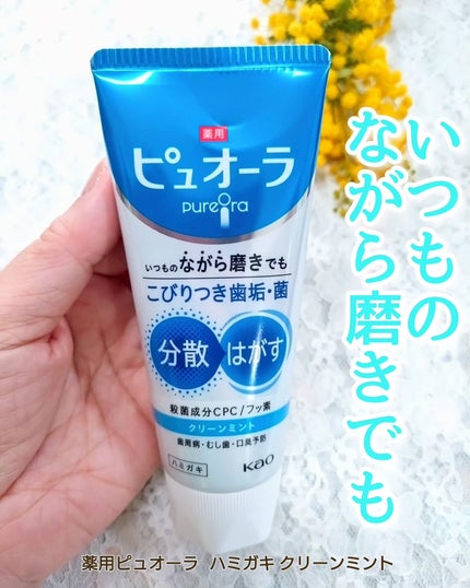 薬用ピュオーラ ハミガキ/ピュオーラ/歯磨き粉を使ったクチコミ(1枚目)