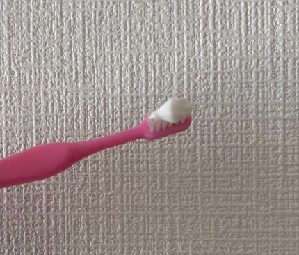 薬用ピュオーラ ハミガキ/ピュオーラ/歯磨き粉を使ったクチコミ(2枚目)