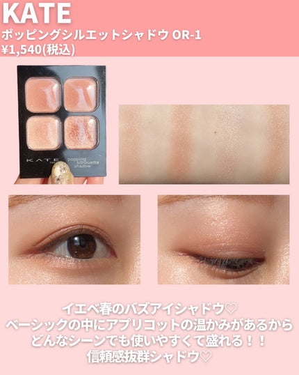 エテュセ アイエディション(カラーパレット)/ettusais/アイシャドウパレットを使ったクチコミ(4枚目)