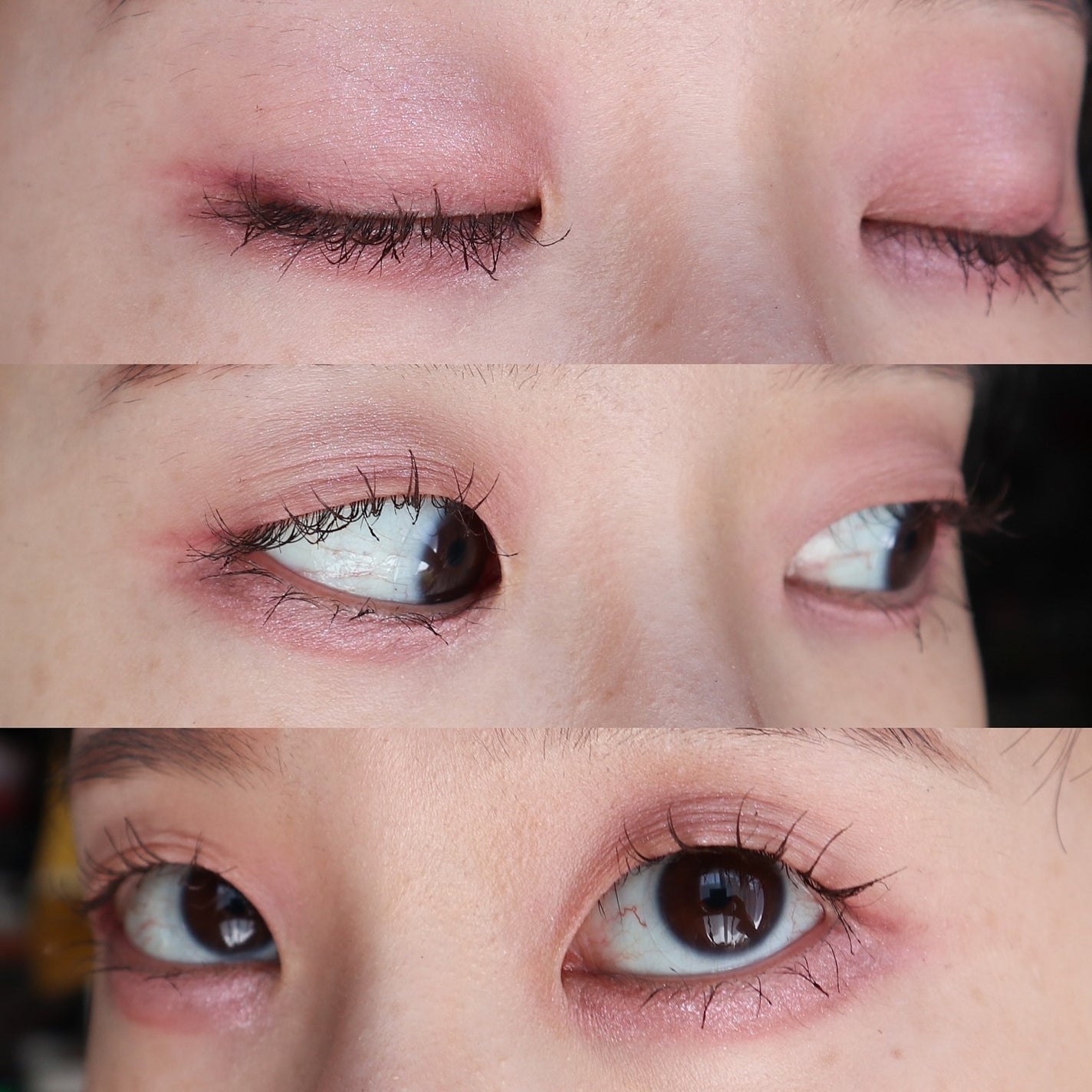 シャドウパレット/dasique/アイシャドウパレットを使ったクチコミ(4枚目)