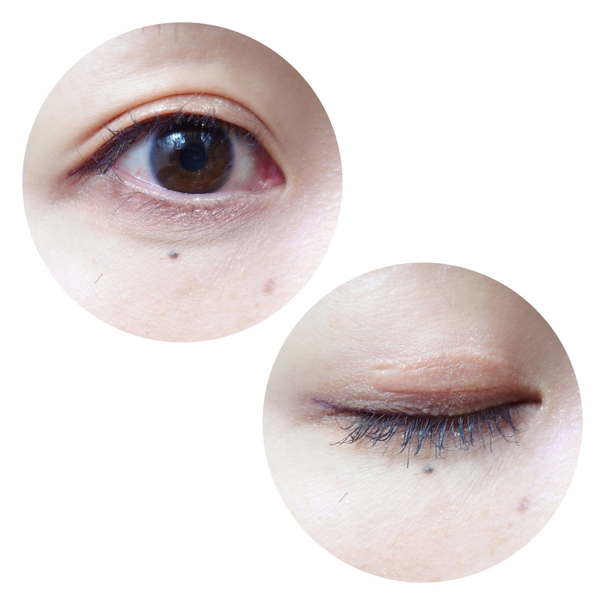 女王のカメオマルチパレット  02 マーガレット/COLORROSE/マルチパレットを使ったクチコミ（3枚目）