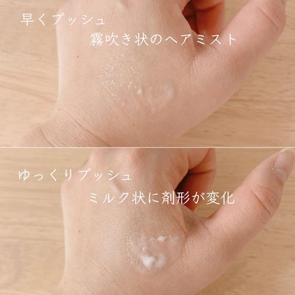 アンドペア コントロール リペア 2in1 ヘアミルクミスト/&PAIR/ヘアミストを使ったクチコミ(5枚目)