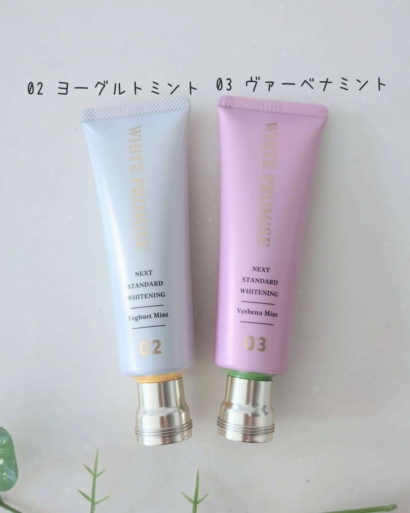 ホワイトプロミス  美白*＋むし歯予防*/WHiTE PROMiSE/歯磨き粉を使ったクチコミ（2枚目）