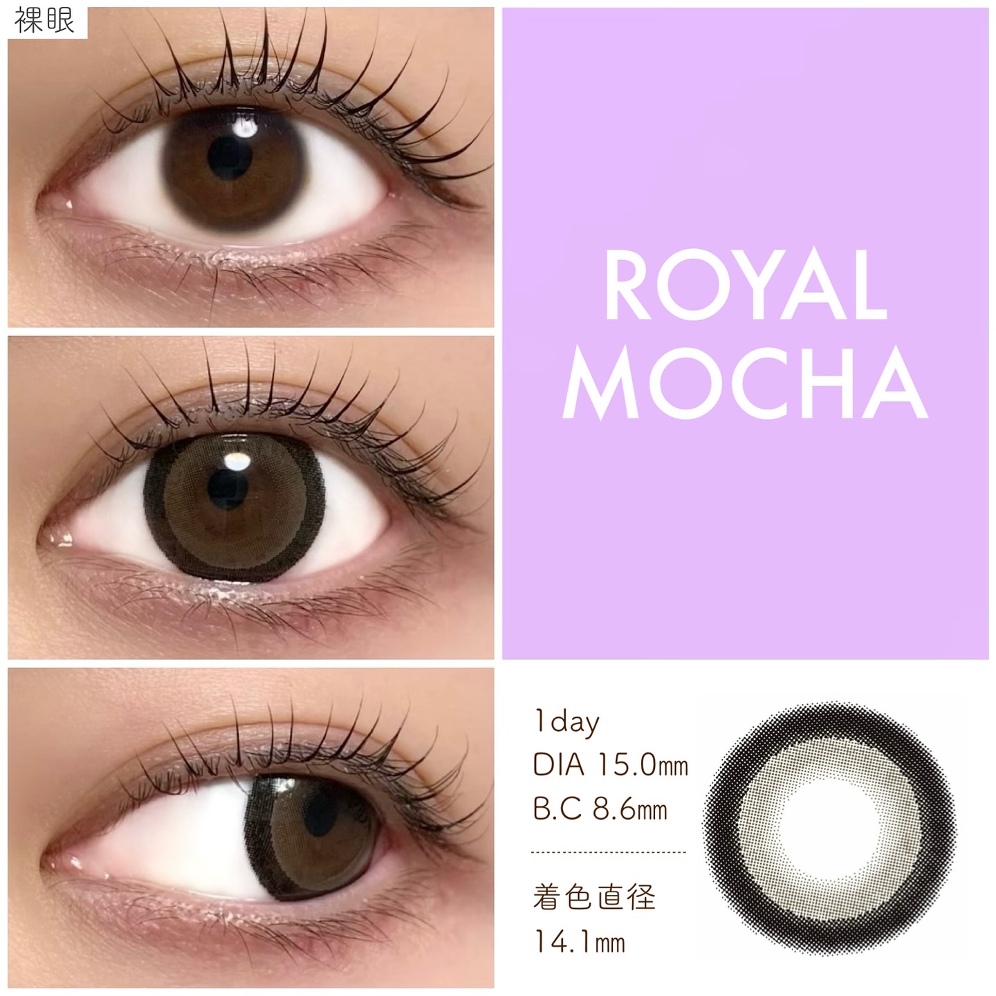 michou 1day ビスケットベージュ/michou/ワンデー（１DAY）カラコンを使ったクチコミ（3枚目）