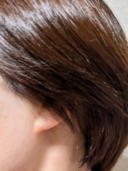 アネツプレミアムヘアエッセンス/ANETSU/ヘアオイルを使ったクチコミ(10枚目)