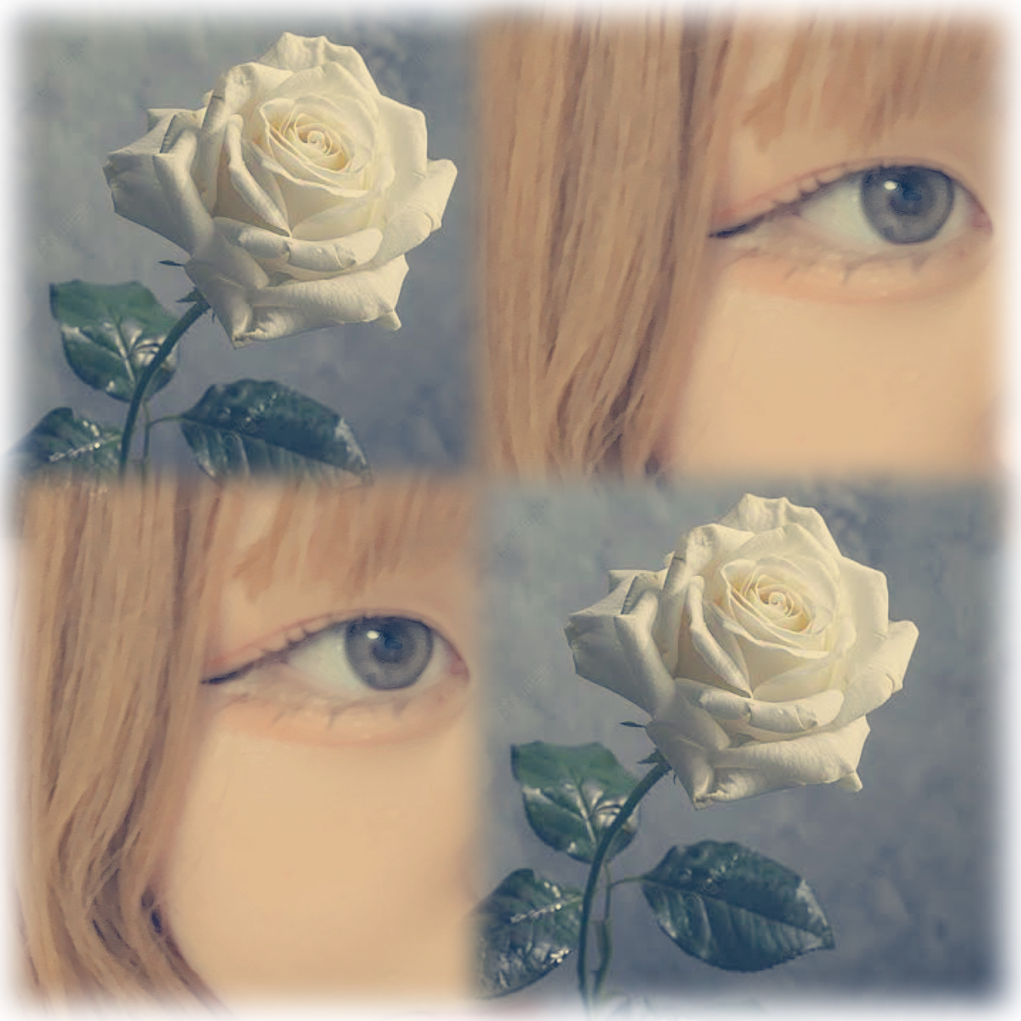 Angelcolor Bambi Series 1day /AngelColor/ワンデー（１DAY）カラコンを使ったクチコミ（2枚目）