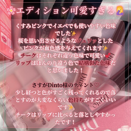 ブラーフィニシュシャドウパレット/Dinto/アイシャドウパレットを使ったクチコミ(6枚目)