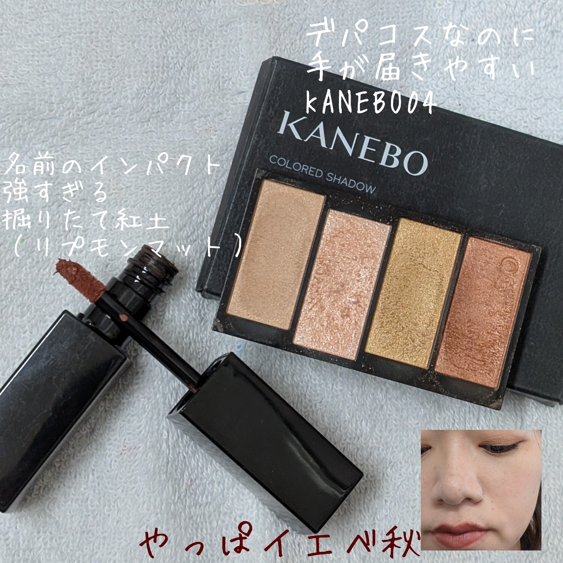 カラードシャドウ 04 Resonant Mood/KANEBO/アイシャドウパレットを使ったクチコミ（1枚目）