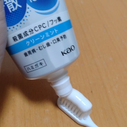 薬用ピュオーラ ハミガキ/ピュオーラ/歯磨き粉を使ったクチコミ(2枚目)