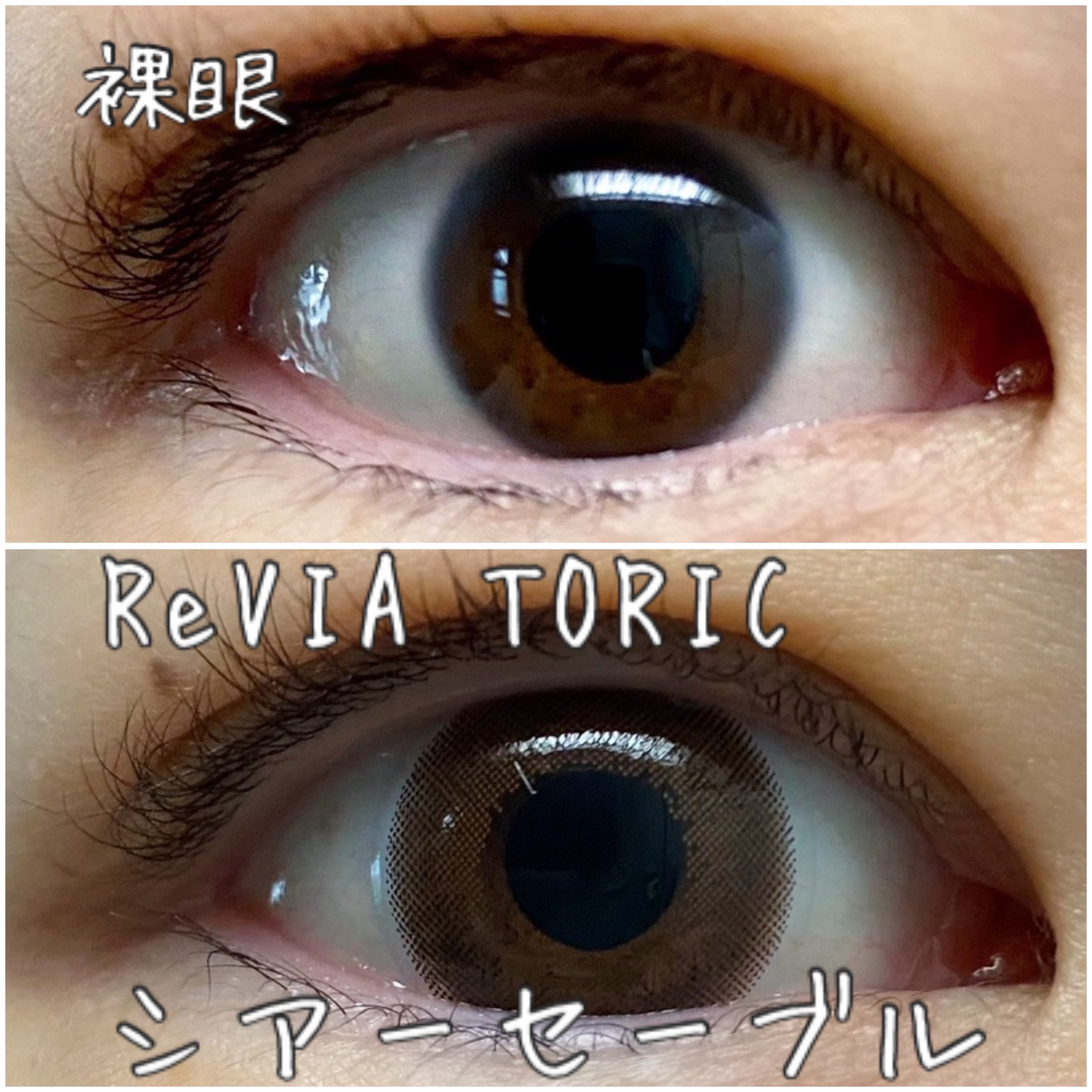 ReVIA TORIC 1day/ReVIA/ワンデー（１DAY）カラコンを使ったクチコミ（3枚目）