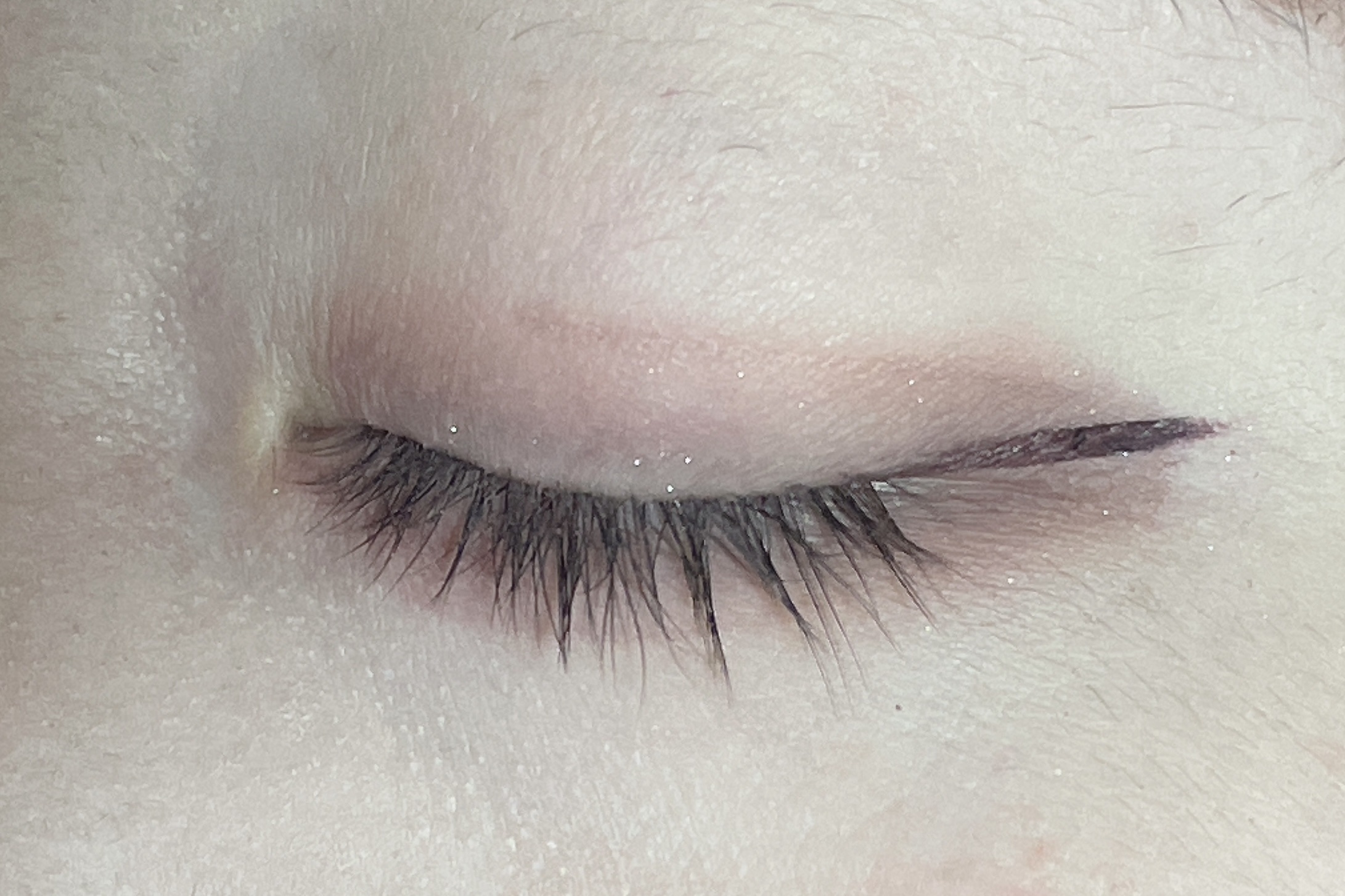 プロ アイ パレット エアー/CLIO/アイシャドウパレットを使ったクチコミ（3枚目）