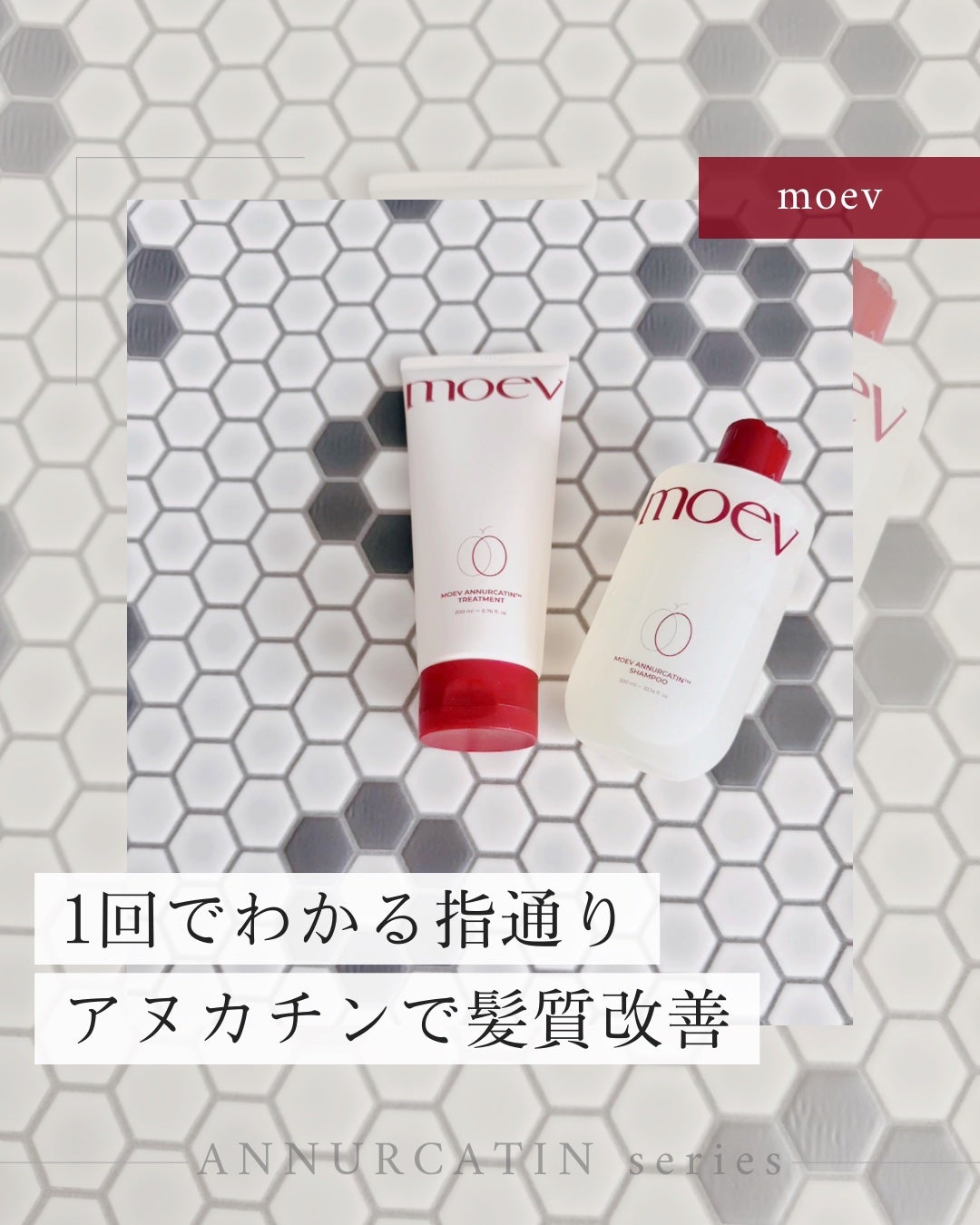 モエブ アヌカチン シャンプー/トリートメント/moev/市販シャンプーを使ったクチコミ(1枚目)