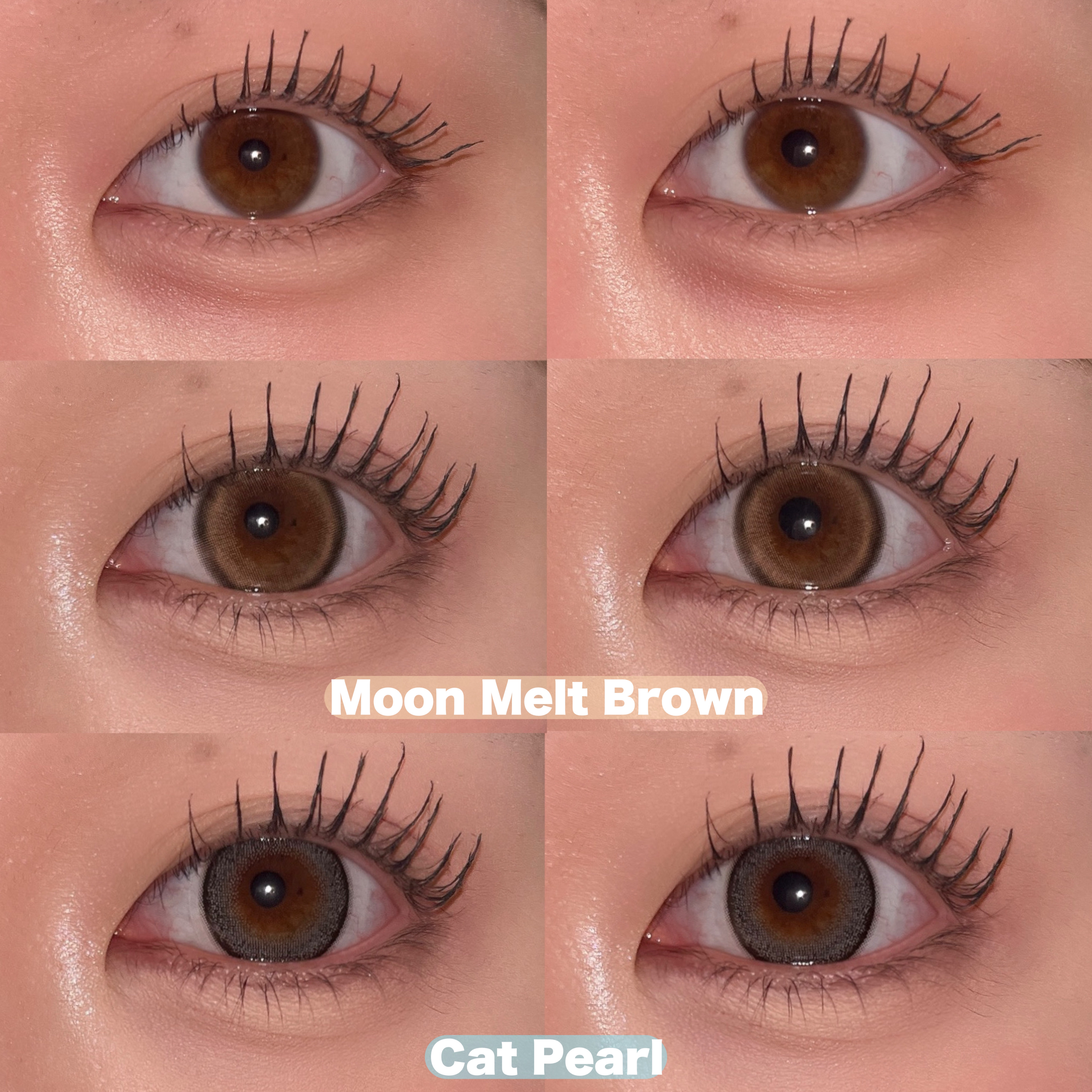 TOPARDS 1day/TOPARDS/ワンデー（１DAY）カラコンを使ったクチコミ（3枚目）