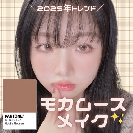 ノンセクション ディープテールリップペンシル 05 MELANGE BROWN/EQUMAL/リップライナーを使ったクチコミ(1枚目)