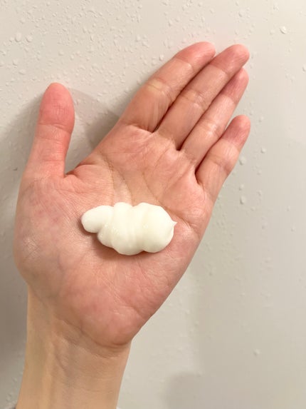 フローディア トリートメント スリークモイスト/FLOWDIA/洗い流すヘアトリートメントを使ったクチコミ(2枚目)