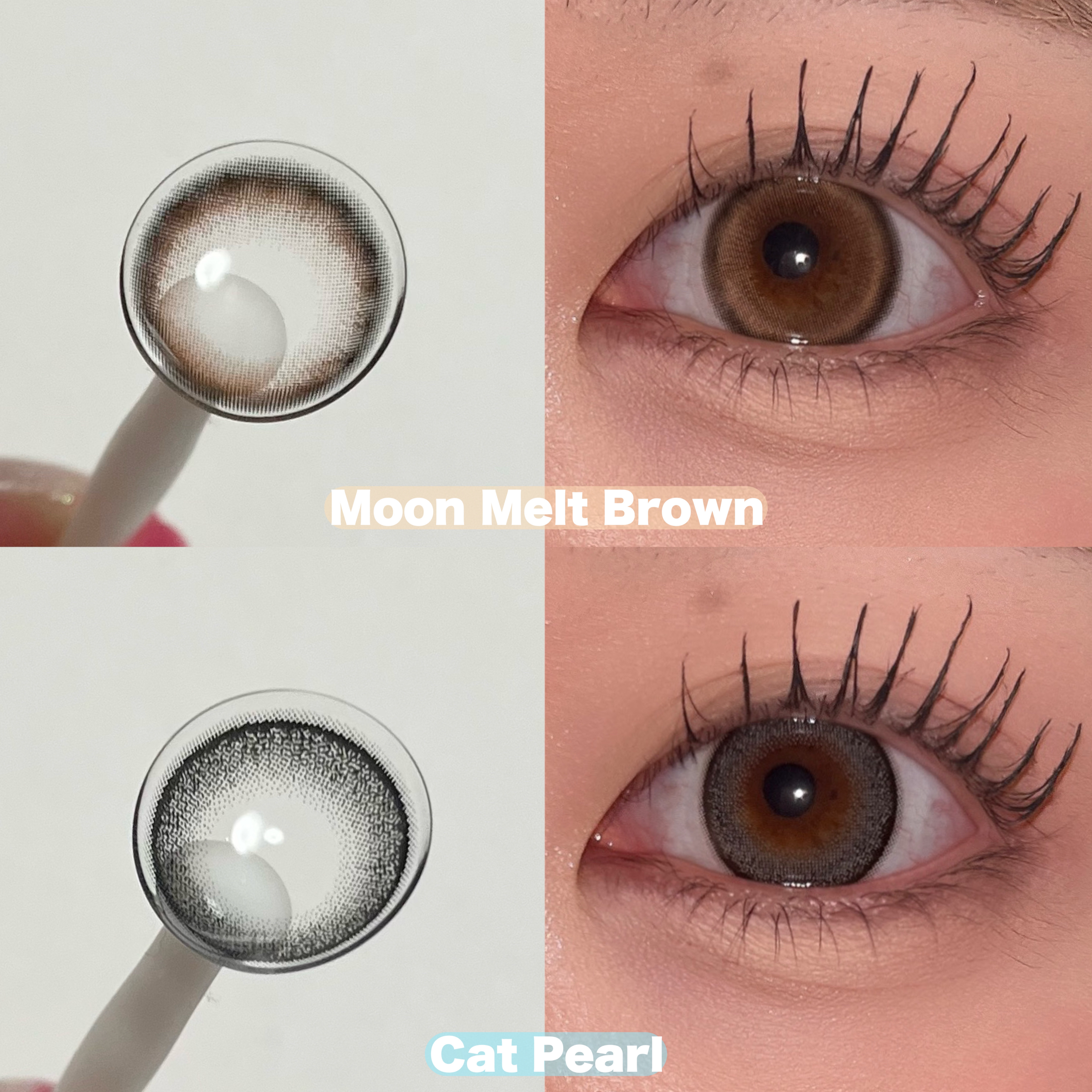 TOPARDS 1day/TOPARDS/ワンデー（１DAY）カラコンを使ったクチコミ（2枚目）