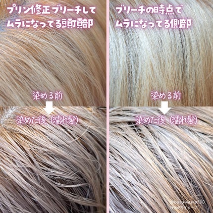 リーゼ ブリーチオンカラー スイートピーグレージュ 108ml/リーゼ/ヘアカラーの画像