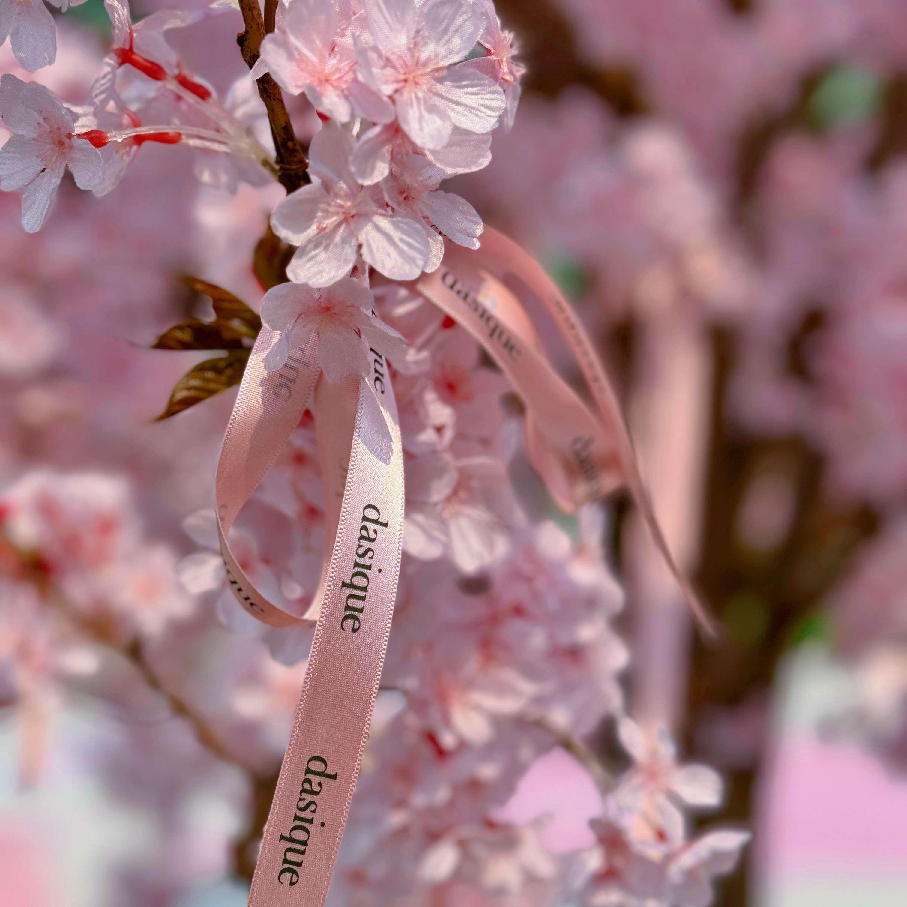 シャドウパレット/dasique/アイシャドウパレットを使ったクチコミ（3枚目）