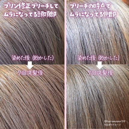 リーゼ ブリーチオンカラー スイートピーグレージュ 108ml/リーゼ/ヘアカラーの画像