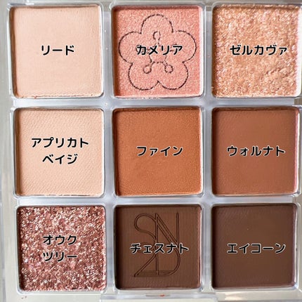 カラーライズスターリーアイズ/S2ND/アイシャドウパレットを使ったクチコミ(5枚目)