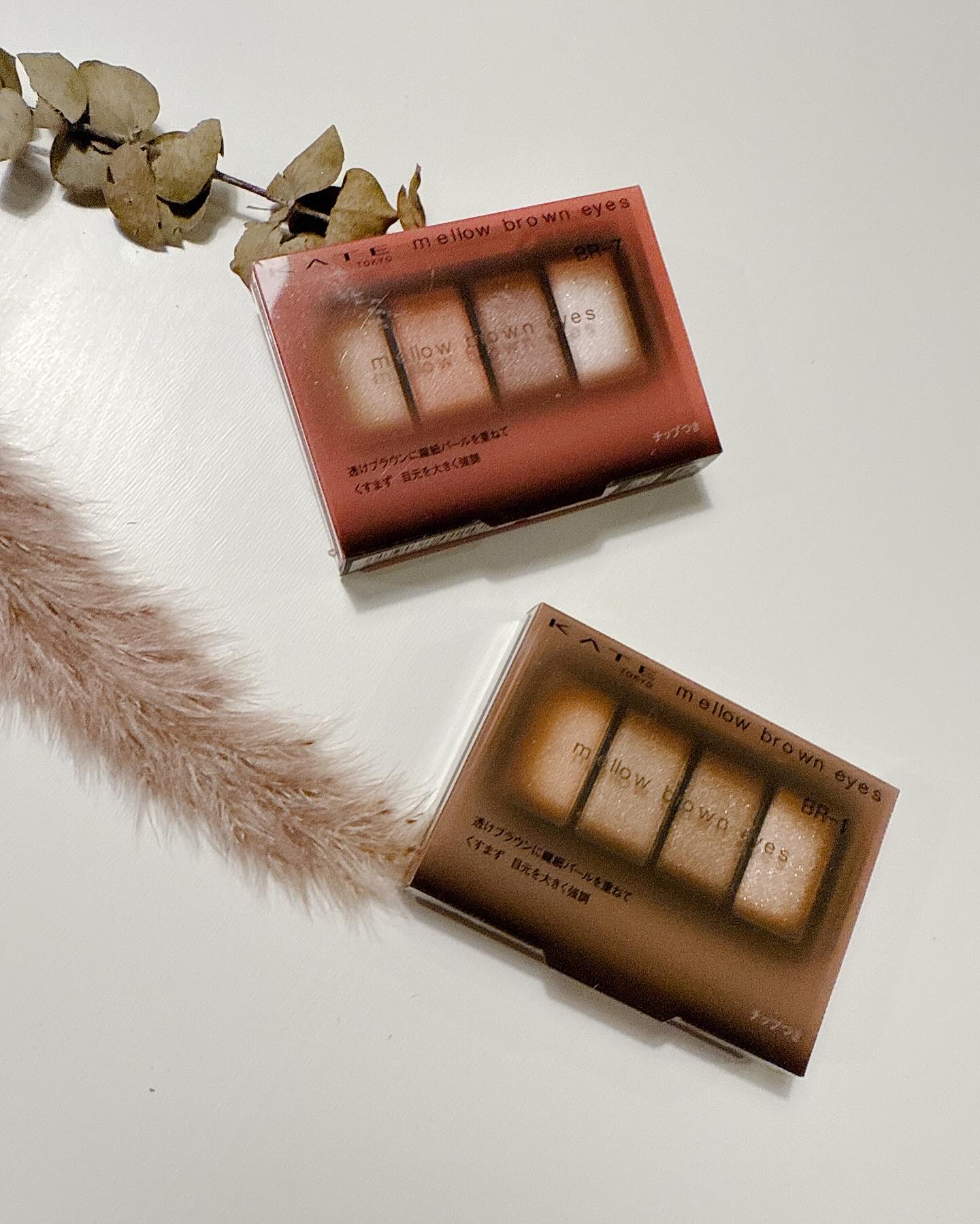 ケイト メロウブラウンアイズ/KATE/アイシャドウパレットを使ったクチコミ（2枚目）