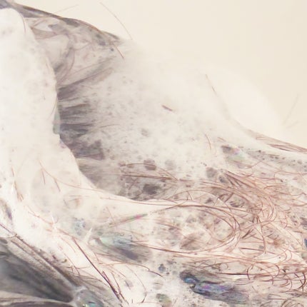 プルント ヴェーリング美容液シャンプー/トリートメント/Purunt./シャンプー・コンディショナーを使ったクチコミ(4枚目)