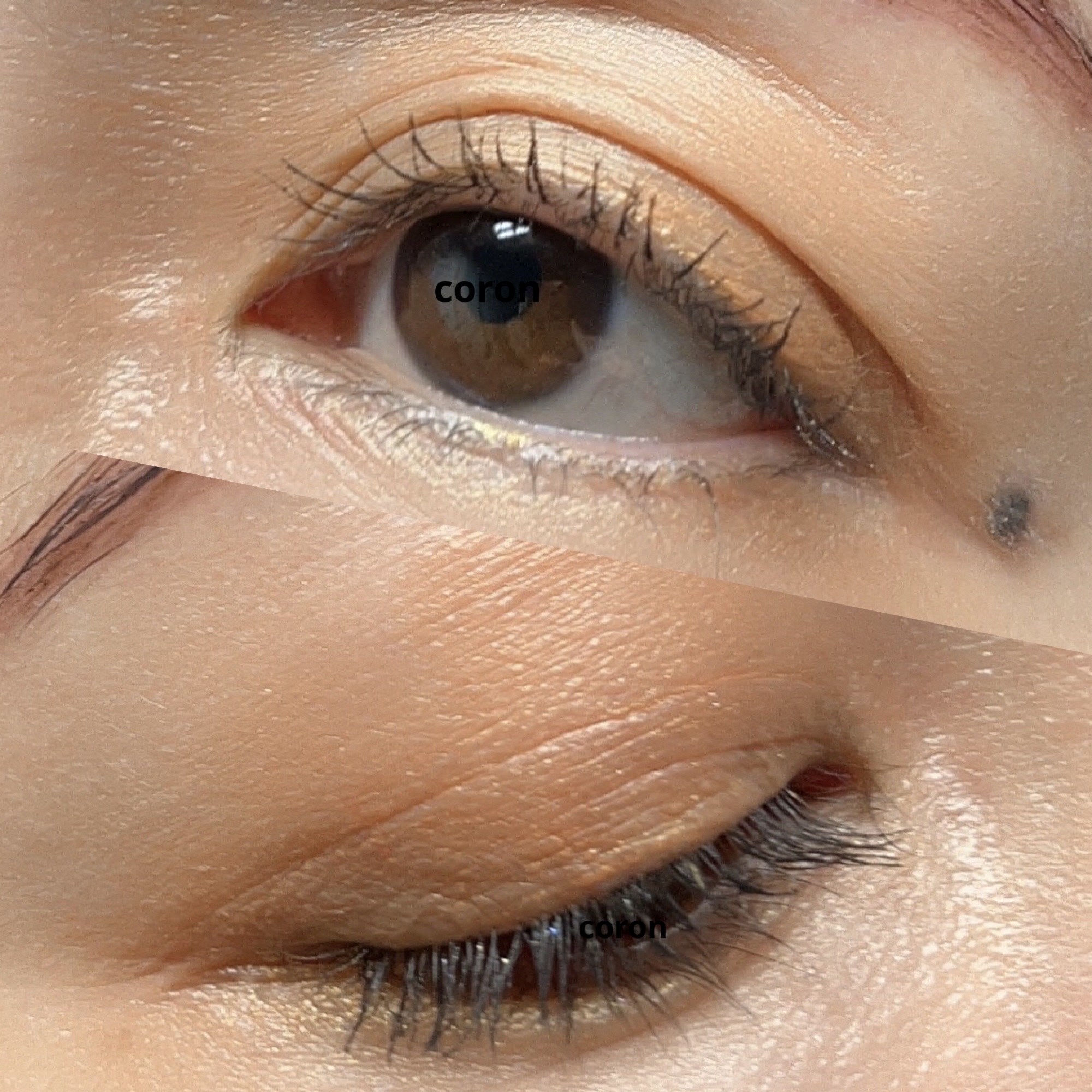 アクアレジスト スモーキーシャドウ 14. ソーラー/MAKE UP FOR EVER/スティックアイシャドウを使ったクチコミ（2枚目）