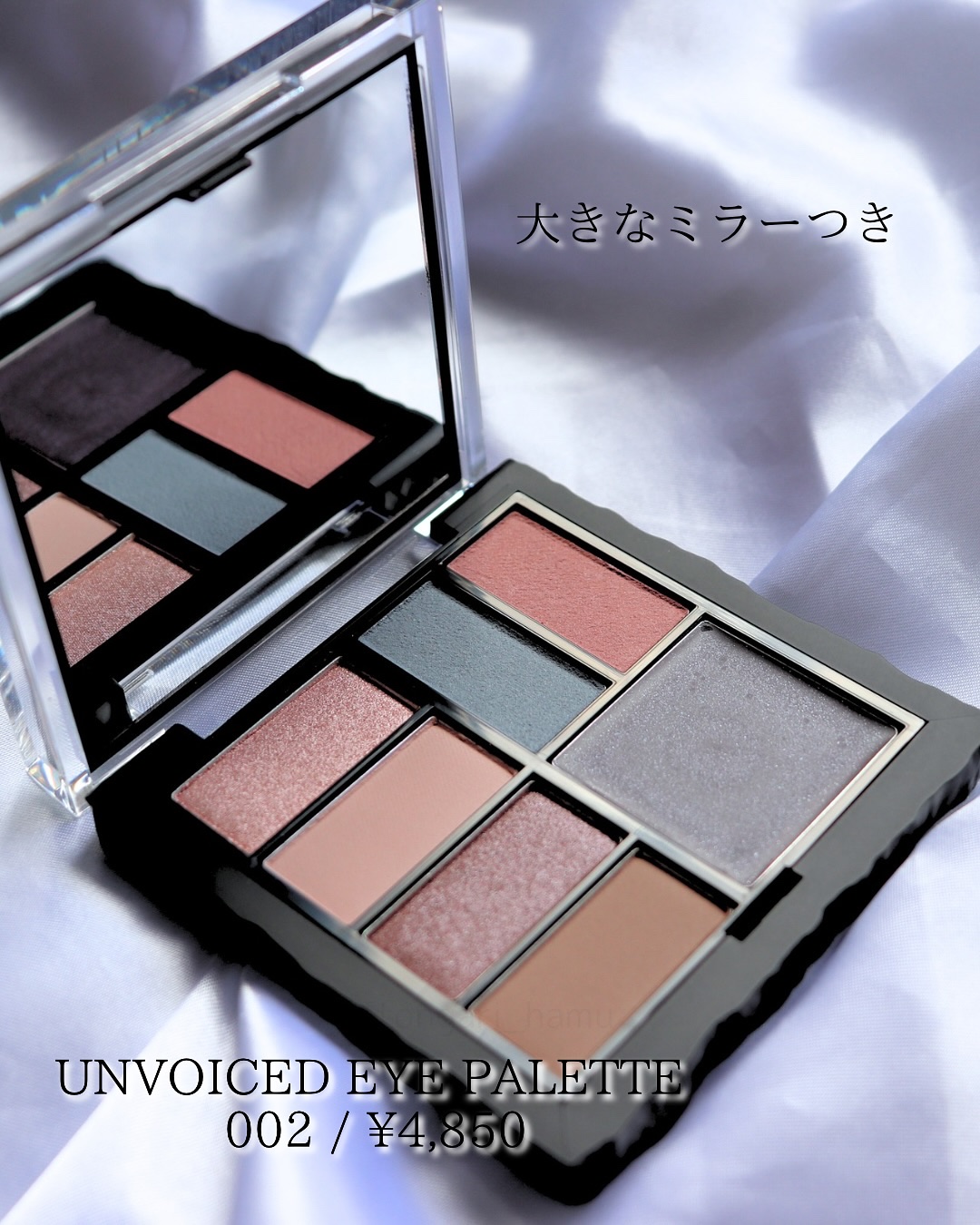 ビルダブルデューイフィットティント/ArteSinsa/リップティントを使ったクチコミ（3枚目）