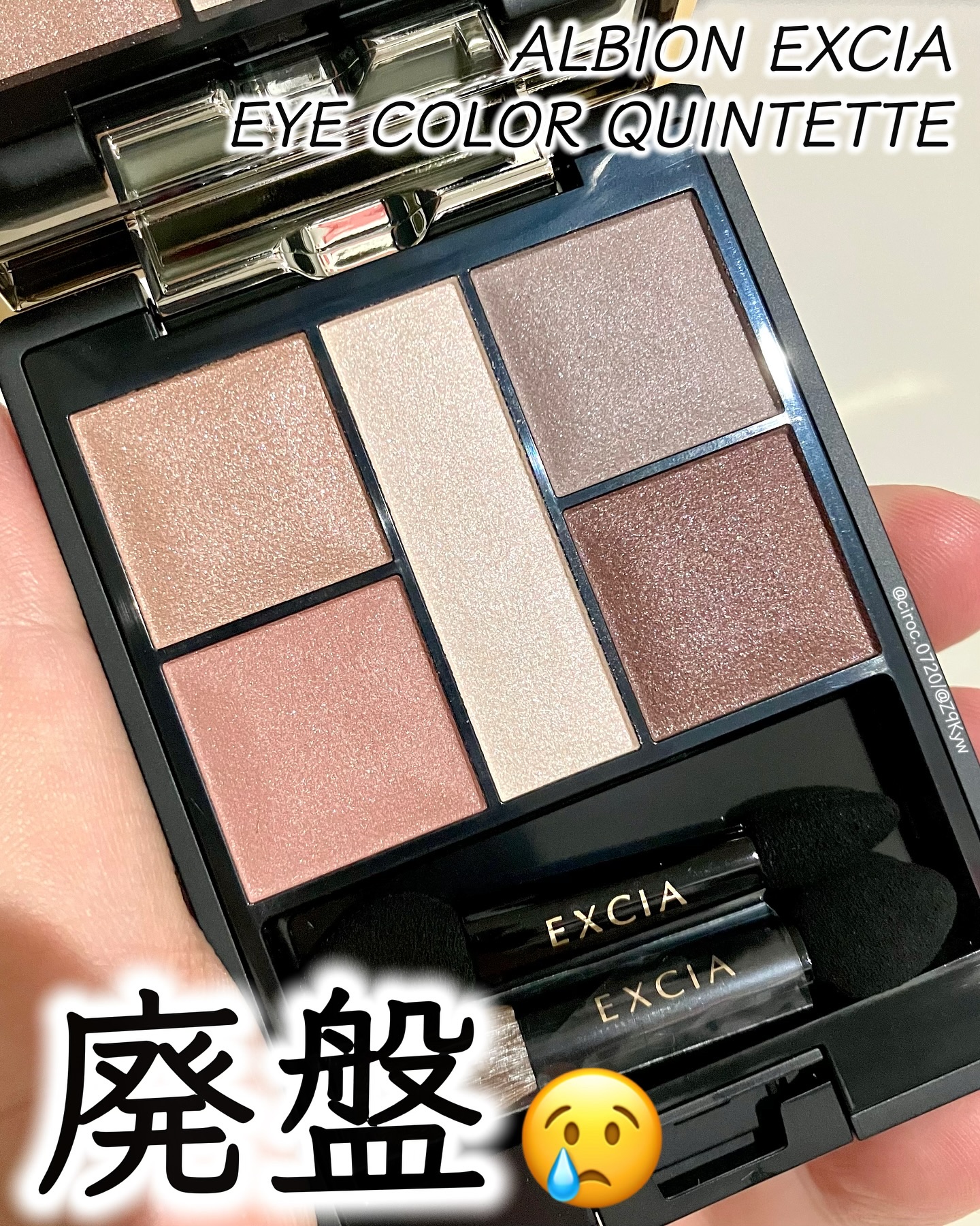 エクシア アイカラー カンテット/ALBION/アイシャドウパレットを使ったクチコミ（1枚目）