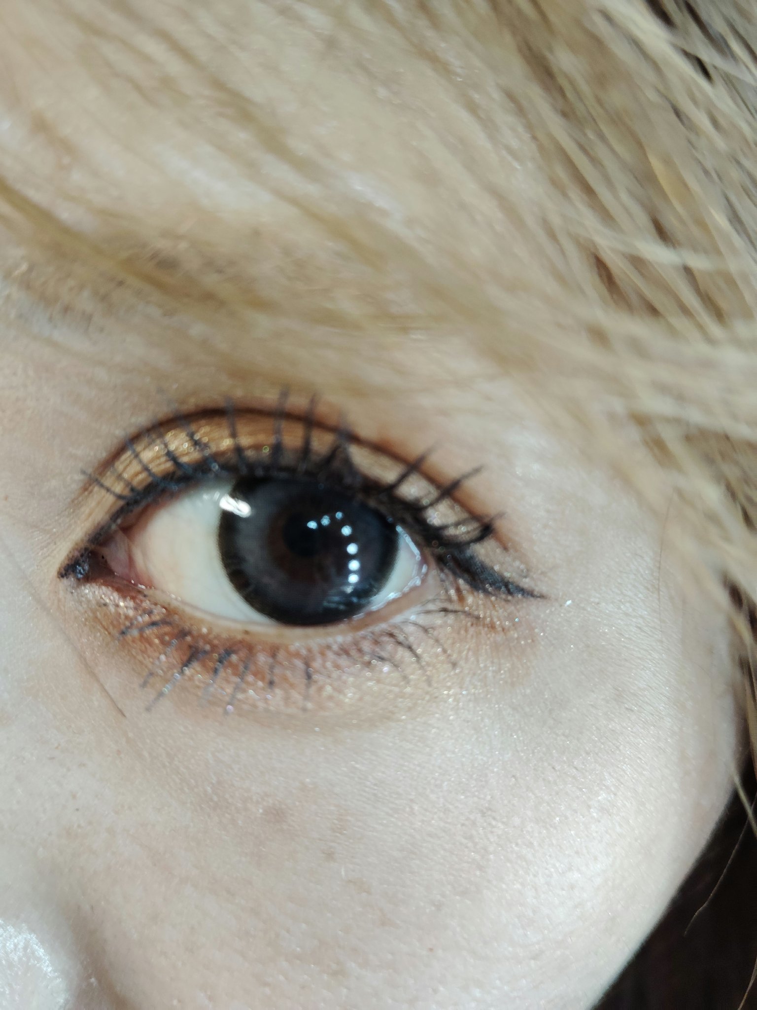 secretcandymagic 1day(シークレットキャンディーマジック） プルモグレー/secret candymagic/ワンデー（１DAY）カラコンを使ったクチコミ（1枚目）