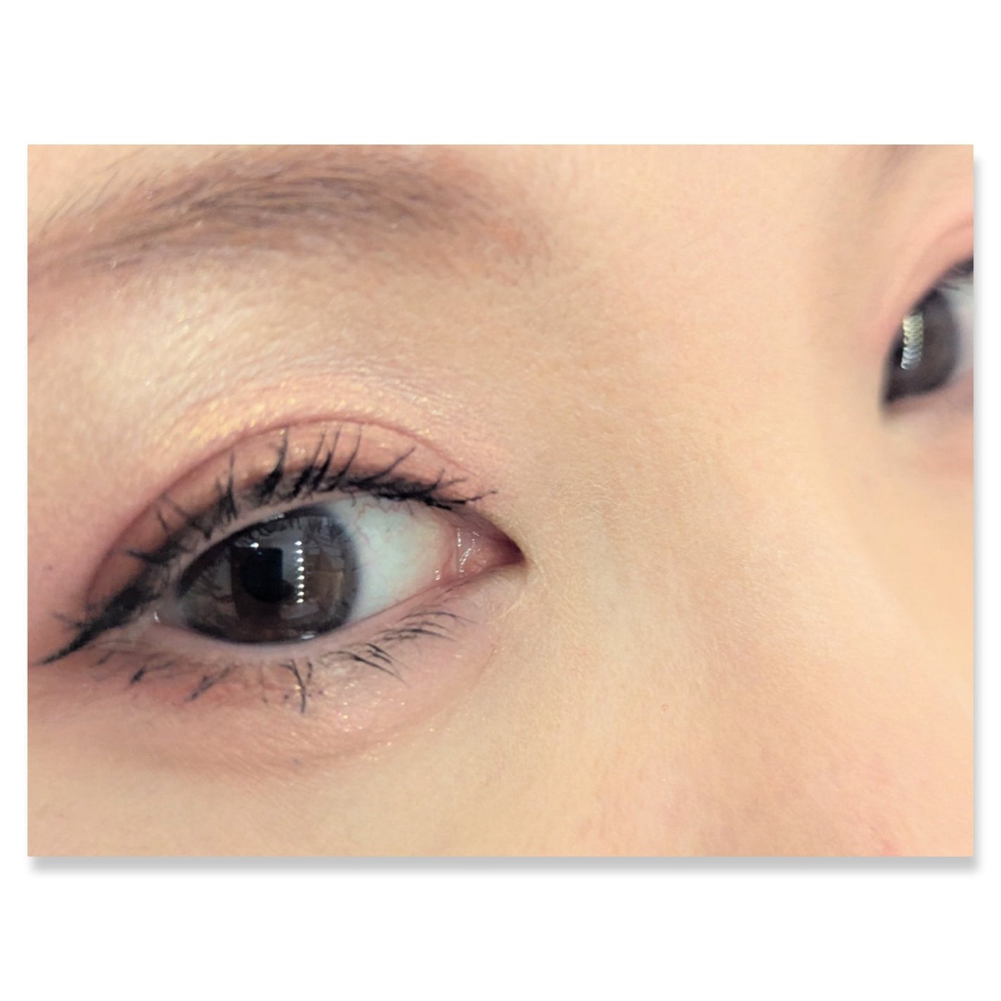 銀河系アイシャドウパレット/Ready to Shine/アイシャドウパレットを使ったクチコミ(2枚目)