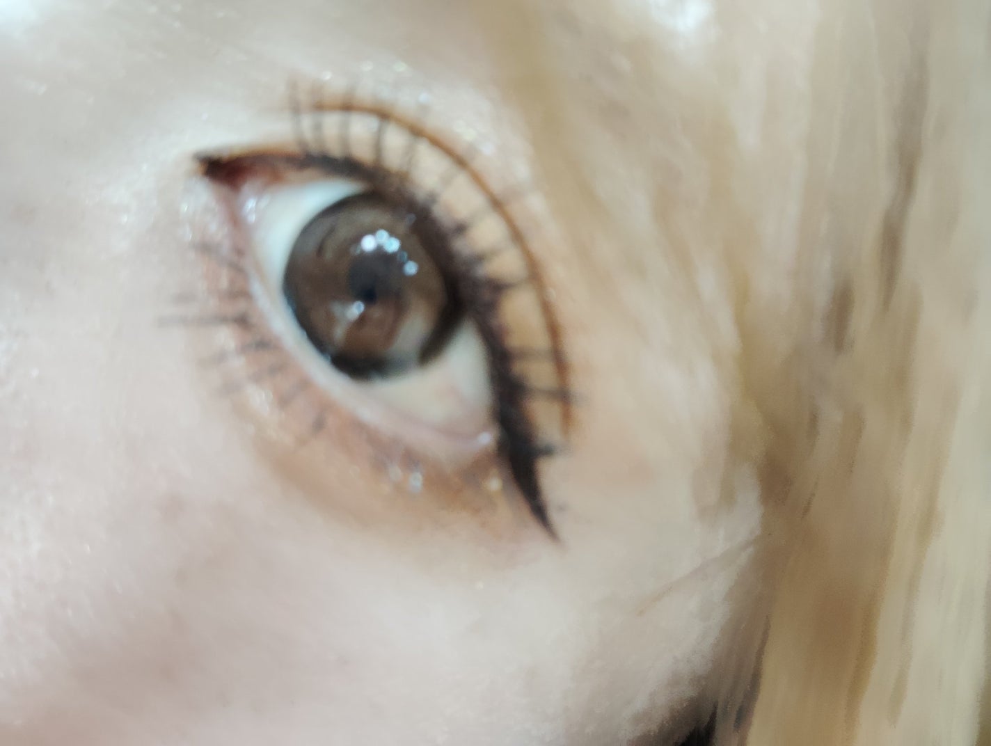 secretcandymagic 1day(シークレットキャンディーマジック)/secret candymagic/ワンデー(1DAY)カラコンを使ったクチコミ(1枚目)