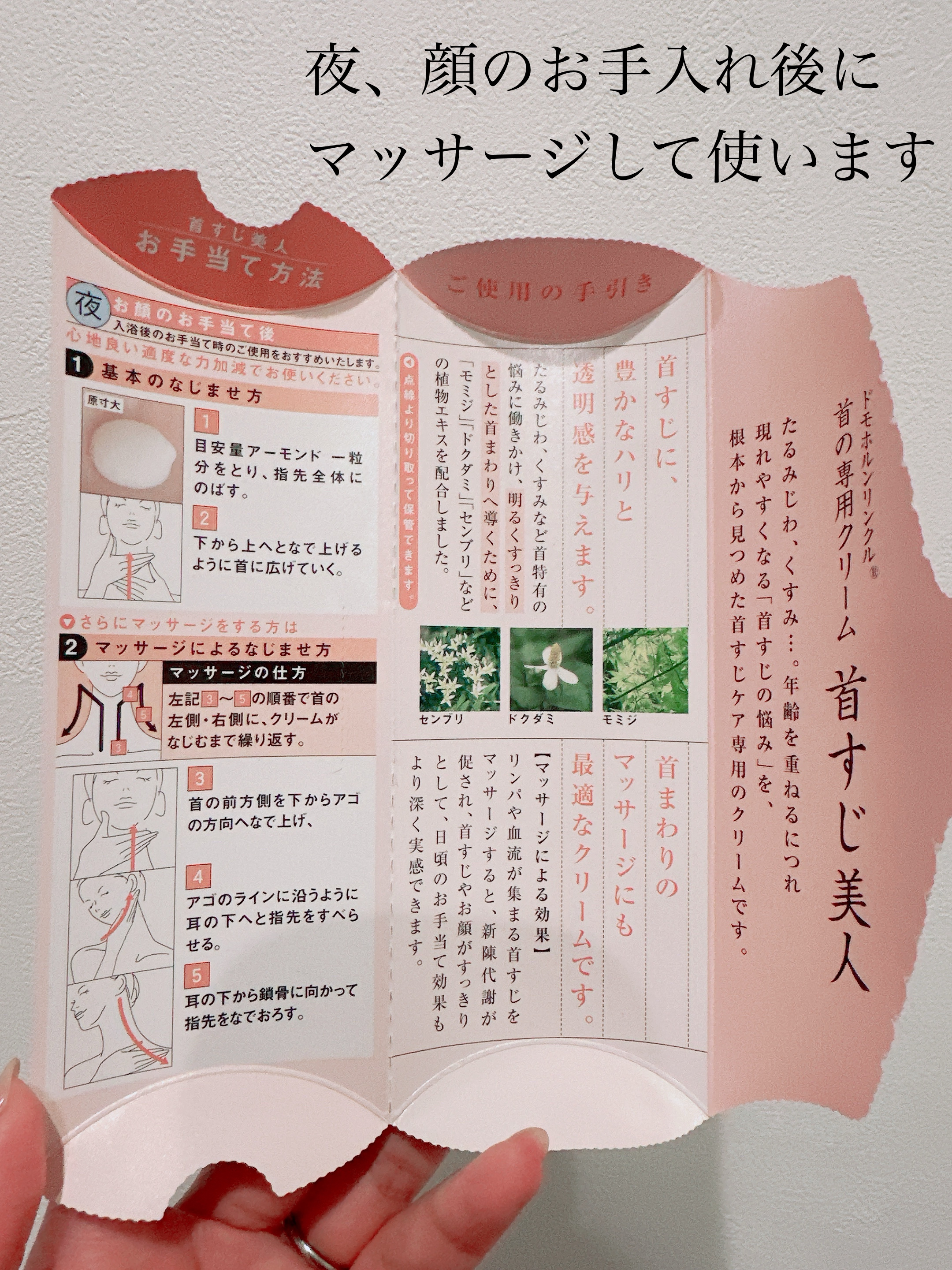 首の専用クリーム 首すじ美人/ドモホルンリンクル/ネック・デコルテケアを使ったクチコミ（3枚目）